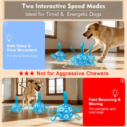 Interactive Blue Dog Soccer Ball with Straps, USB Rechargeable