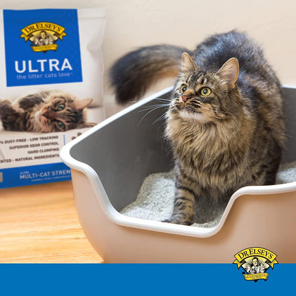 Unscented Clumping Clay Cat Litter, 18 lb Bag