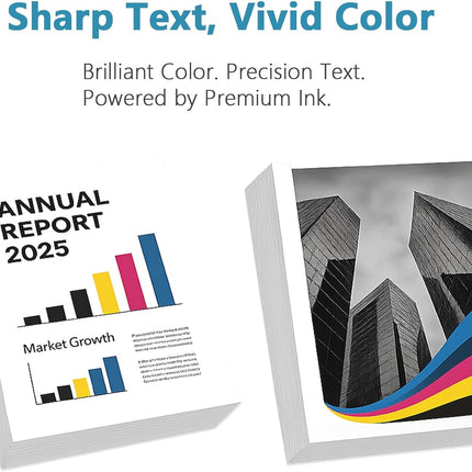 Remanufactured Ink Cartridges Replacement with V13.3.1 Chips (Black, 2-Pack)