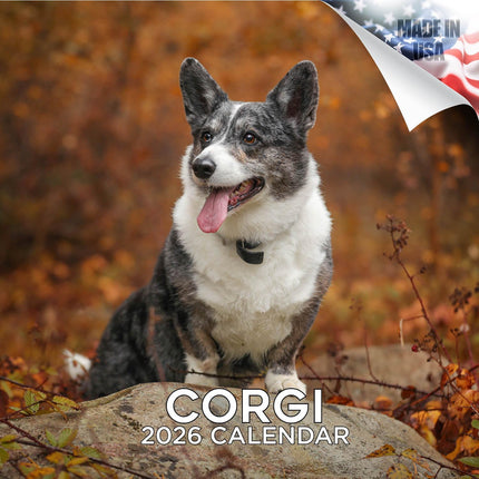 Corgi Calendar 2027 - 16 Month Dog Wall Calendar