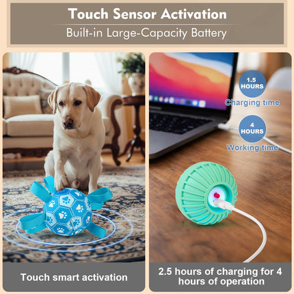 Interactive Blue Dog Soccer Ball with Straps, USB Rechargeable