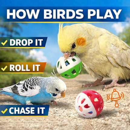 15-Pack Colorful Bird Jingle Ball Toys, 1.5 in