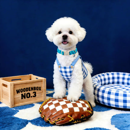 Turquoise and Royal Blue Checkered Adjustable Dog Collar with Windmill Charm