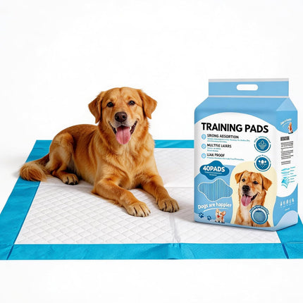 6-Layer Disposable Dog Training Pads, 40 Count, 23 x 23 Inch