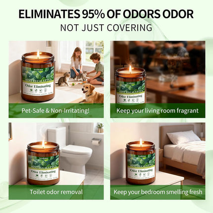 Mint Eucalyptus Odor Eliminating Soy Wax Jar Candle