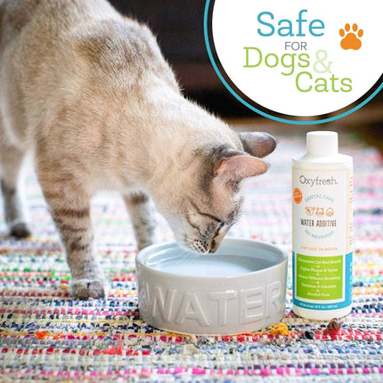 Premium Pet Dental Care Water Additive, 16 oz