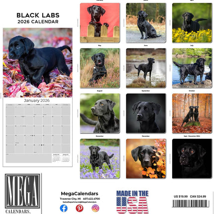 Black Labrador Calendar 2027 - 16 Month Dog Wall Calendar