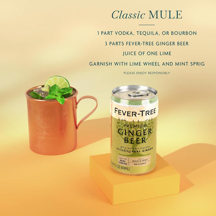 Premium Ginger Beer Mixer, 5.07 fl oz Cans, Pack of 24