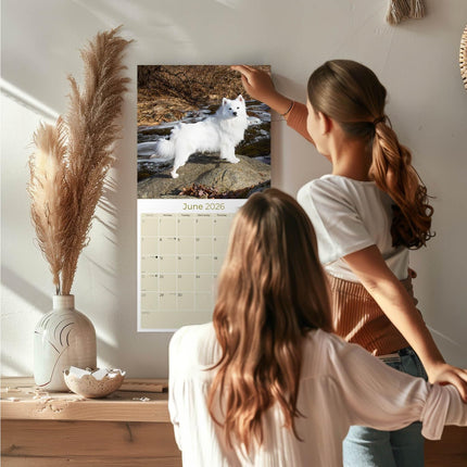 American Eskimo 2026 16-Month Dog Wall Calendar
