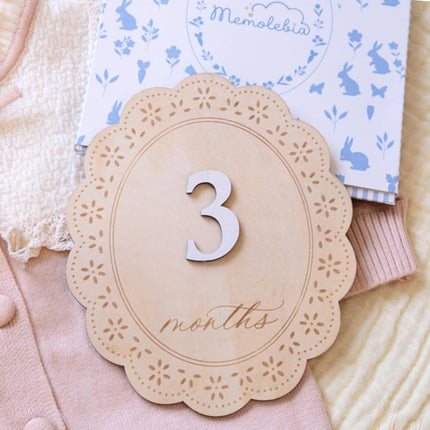 Baby Girl Monthly Milestone Signs 1-12, Double-Sided Newborn Photo Props