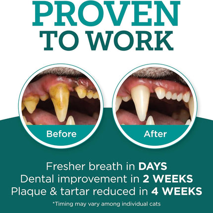 Dental Gel for Cats, Cleans Teeth and Freshens Breath