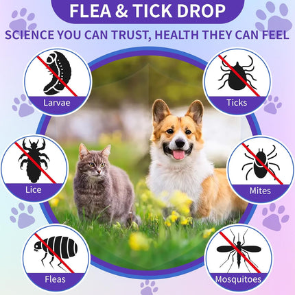 PawHaven RefugioPata WEALLIN Flea and Tick Prevention for Cats and Dogs Natural Flea Treatment — Pet Supplies