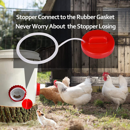 SourceToHome FuenteACasa Chicken Feeder & Waterer Combo Kit – 8 Pack Total (4 Automatic Feeder — Home & Lifestyle