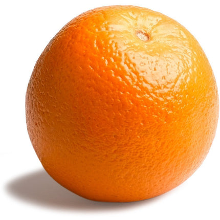 SourceToHome FuenteACasa Navel Orange — Home & Lifestyle