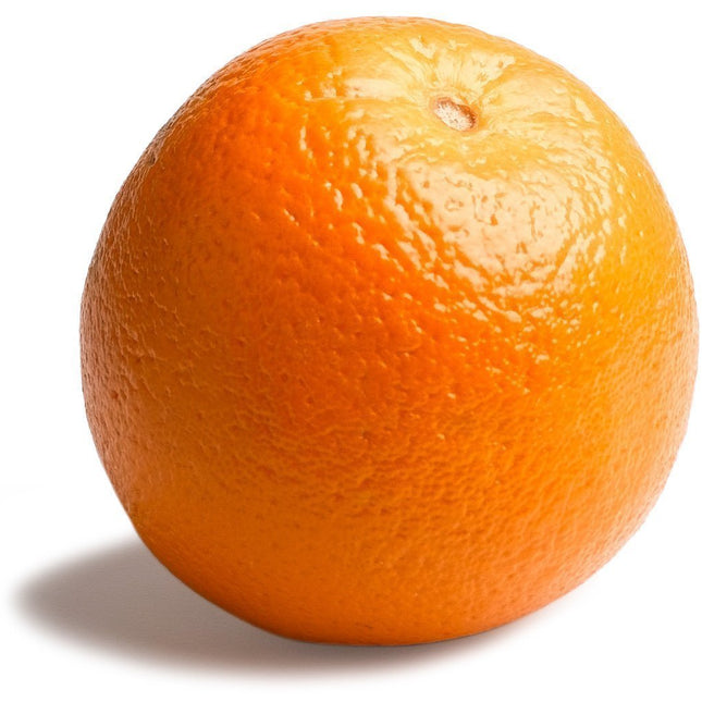 SourceToHome FuenteACasa Navel Orange — Home & Lifestyle