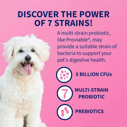 30 Count Probiotic Health Supplement for Cats and Dogs