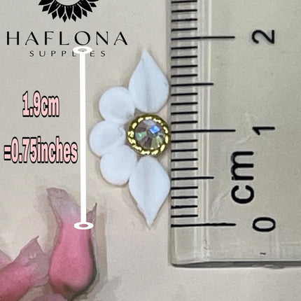 SourceToHome FuenteACasa Set 10Pcs 3D Sweet Season Poinettia (5 Petals) Flower Nail Art Charms — Home & Lifestyle