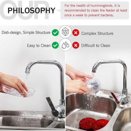 2-Pack 16 oz Leak-Proof Dish-Style Hummingbird Feeders