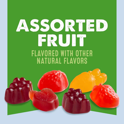 Assorted Fruit Snacks Family Pack, Gluten Free Gummies, 40 Count