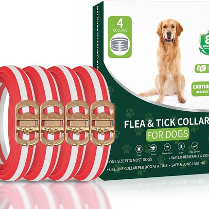 PawHaven RefugioPata Flea Collar for Dogs — Pet Supplies