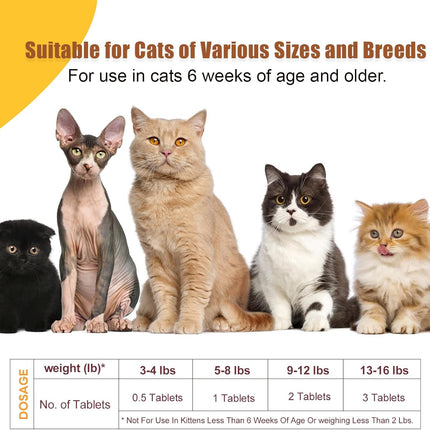Dewormer for Cats & Kittens, Fenbendazole for Tapeworms, Roundworms & Hookworms - 60 Tablets