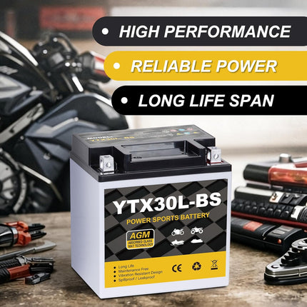 YTX30L-BS 12V 30Ah 400CCA Sealed AGM Powersport Battery