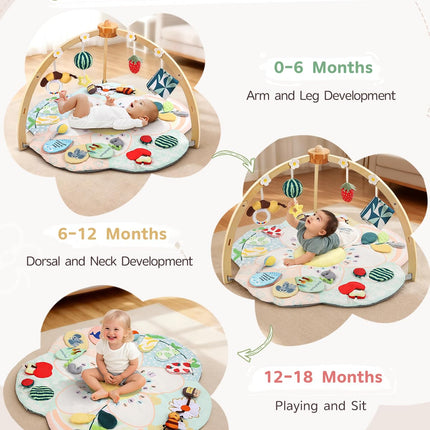 Baby Play Gym & Activity Mat, 5 Developmental Zones Tummy Time Mat with 4 Detachable Sensory Toys, Early Skills & Sensory Development Mat, Newborn Essentials Baby Shower Gift