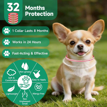 PawHaven RefugioPata Flea Collar for Dogs — Pet Supplies