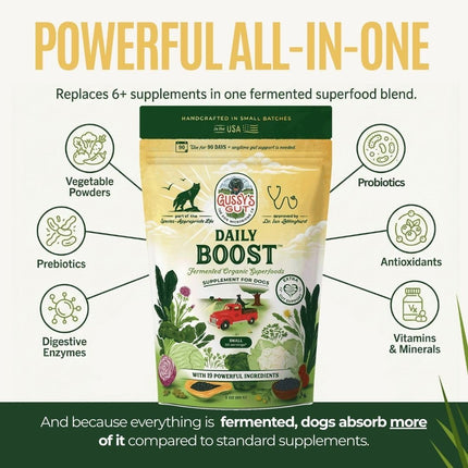 Daily Boost Fermented Organic Dog Gut Health Supplement - Reset Phase, 3 oz