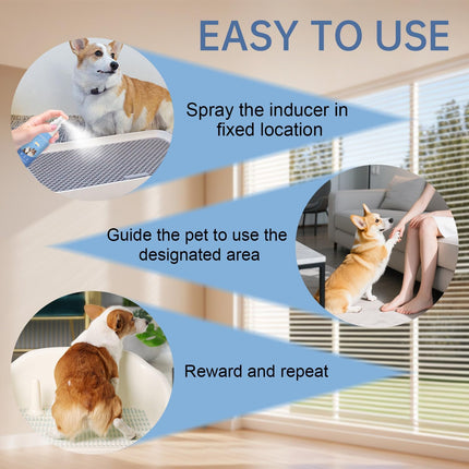 PawHaven RefugioPata Potty Training Spray for Dogs Dog Potty Training Spray Go Here Dog Potty — Pet Supplies