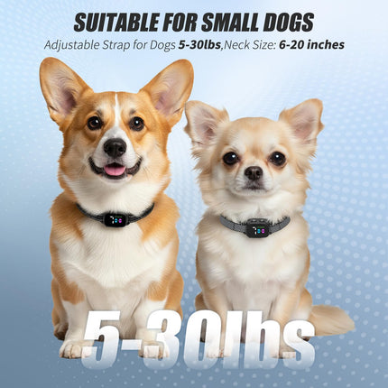 Anti Bark Collar for Small Dogs 2 Pack, No Shock Beep & Vibration, 7 Sensitivity Levels, Smart Bark Detection, Rechargeable IP67 Waterproof, 5-30 lbs