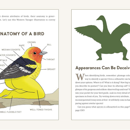 Extremely Accurate Birds: An Anatomically Precise Field Guide to Common Backyard Birds of North America