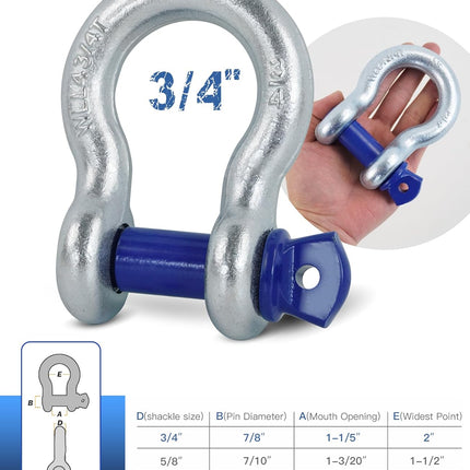 2 Pack 3/4 in. D Ring Shackles with 7/8 in. Screw Pins