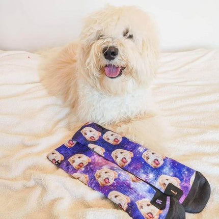 PawHaven RefugioPata Face Socks – Personalized Dog, Cat & Human Photo Socks — Pet Supplies