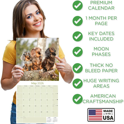Longhaired Dachshund 2026 16-Month Wall Calendar