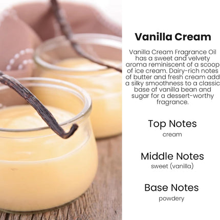 Vanilla Cream Hanging Car Air Freshener Diffuser, 2 Pack