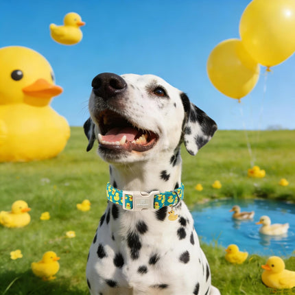 Cute Duck Pattern Adjustable Dog Collar with Rubber Duck Charm for Small Dogs