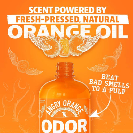 Pet Odor Eliminator Citrus Cleaner with Natural Orange Oil, 24 oz