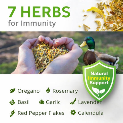 ZenPulse PulsoZen Buff Clucks Herb Supplement for Ducks - Natural Waterfowl Treat — Health & Wellness