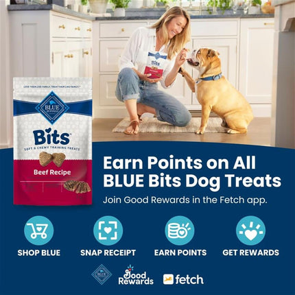 Beef Soft & Chewy Bite-Sized Dog Training Treats, 19 oz
