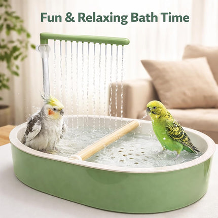 Indoor Bird Bath Fountain with Dual Rainfall Shower