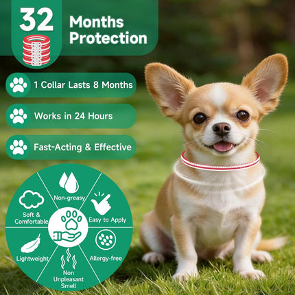 PawHaven RefugioPata 4 Pack Flea Collar for Dogs, Flea and Tick Prevention for Dogs — Pet Supplies