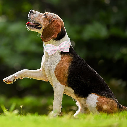 Pink Adjustable Dog Collar with Bowtie and Metal Buckle
