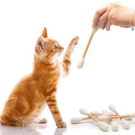 Catnip Swab Cat Toys - 6 Pack