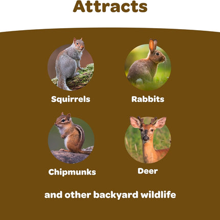 SourceToHome FuenteACasa Kaytee Backyard Wildlife Food Blend For Wild Squirrels — Home & Lifestyle