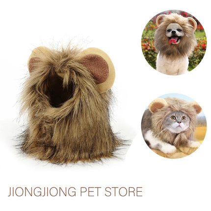 Cat modeling USA CALI lion mane funny costume - side profile view