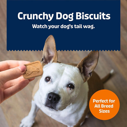 Pumpkin & Cinnamon Crunchy Oven-Baked Dog Biscuits, 16 oz