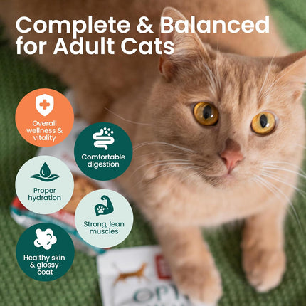 PawHaven RefugioPata Optimeal Wet Cat Food Grain Free - Chicken Tender Morsels — Pet Supplies
