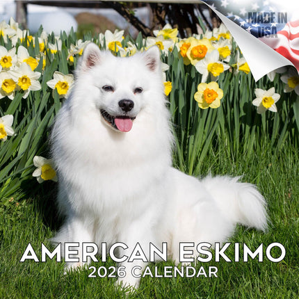 American Eskimo 2026 16-Month Dog Wall Calendar