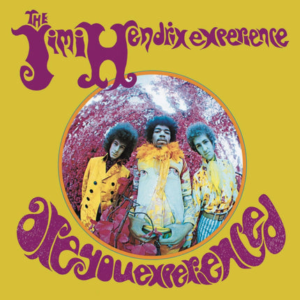 SourceToHome FuenteACasa Are You Experienced — Home & Lifestyle